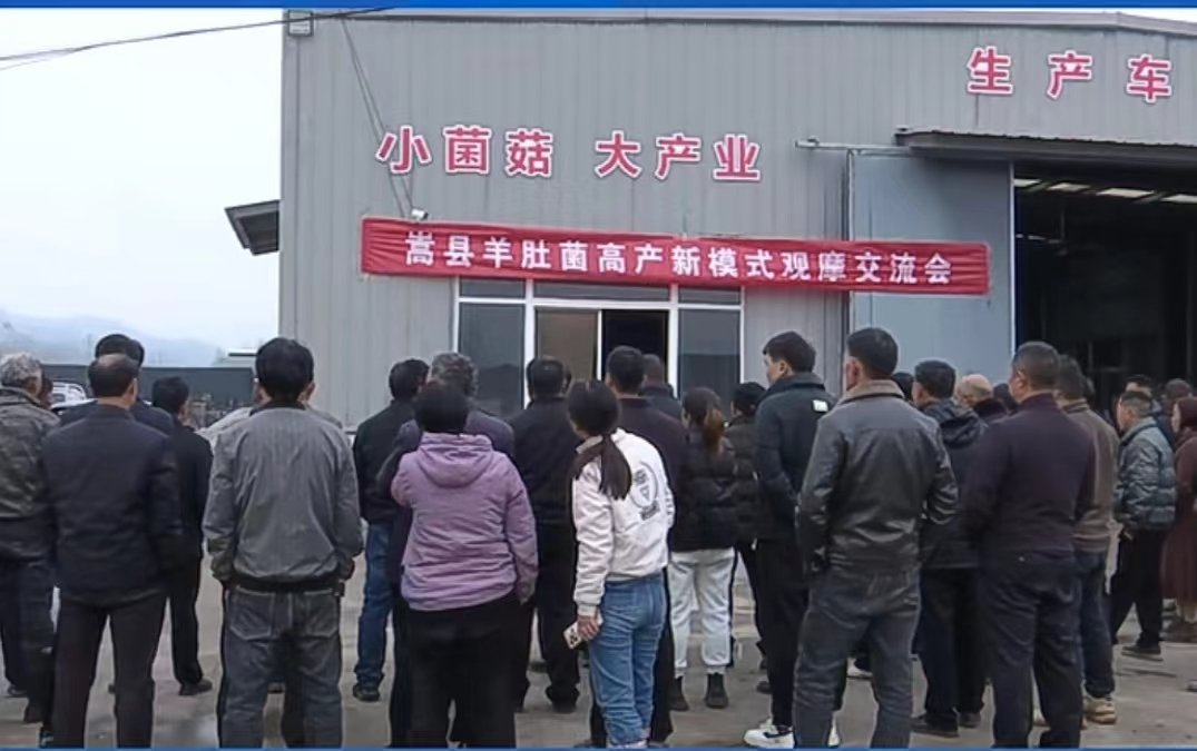 图片 1.png